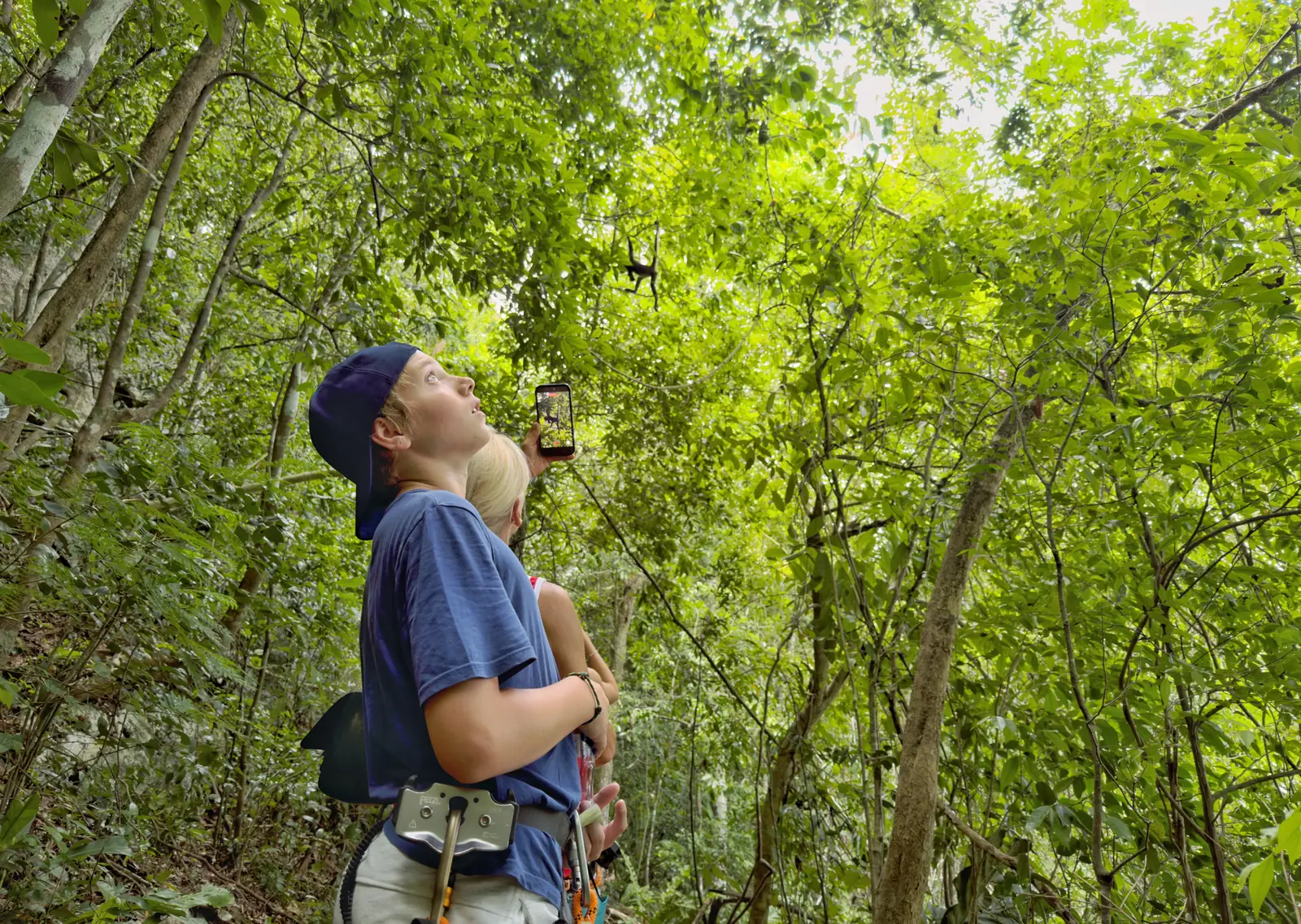 Birdwatching among the forest trees