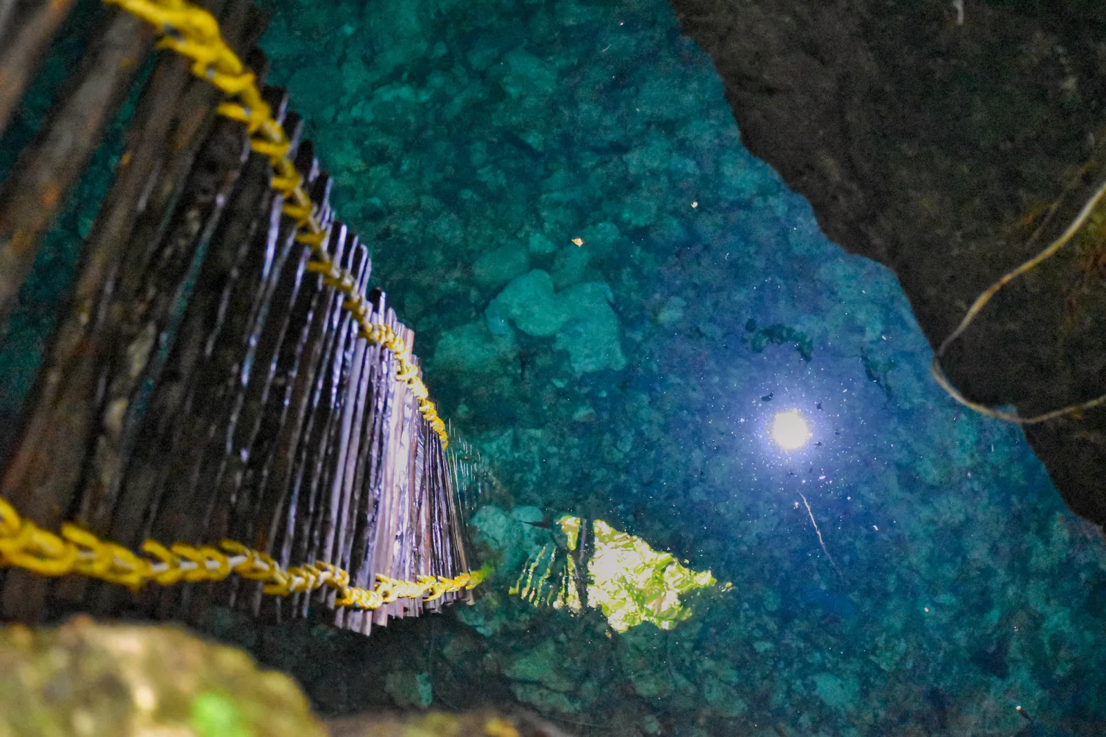 View into an underground cenote at Punta Laguna