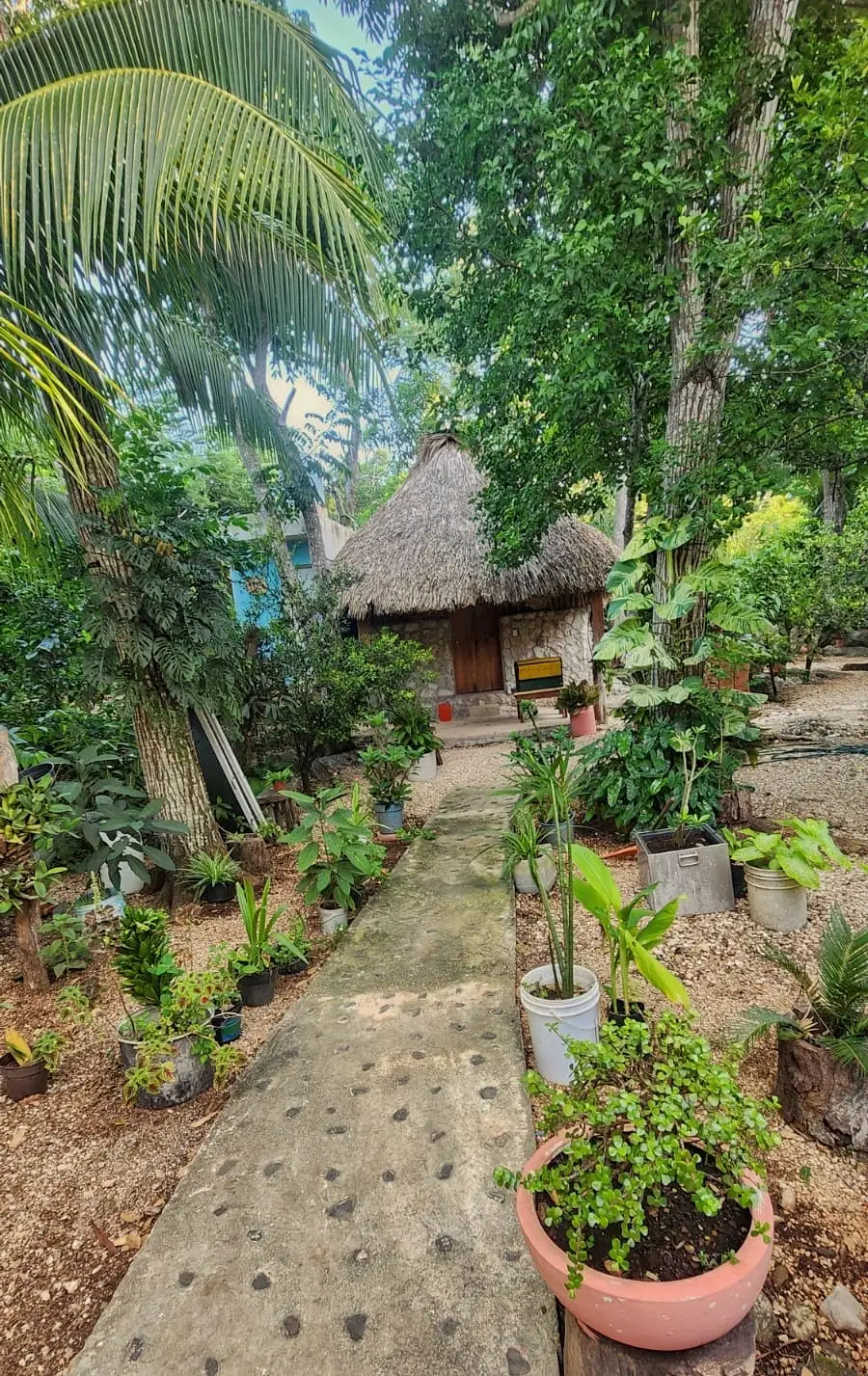 Garden path and shared grounds at LOL-CHE’